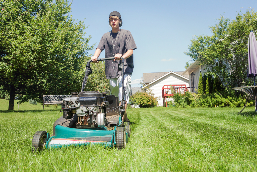 Mowing Business as a Teenager
