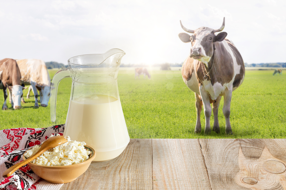 Increase Brand Awareness for your dairy farm